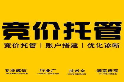 成功秘诀：竞价推广公司案例深度解析